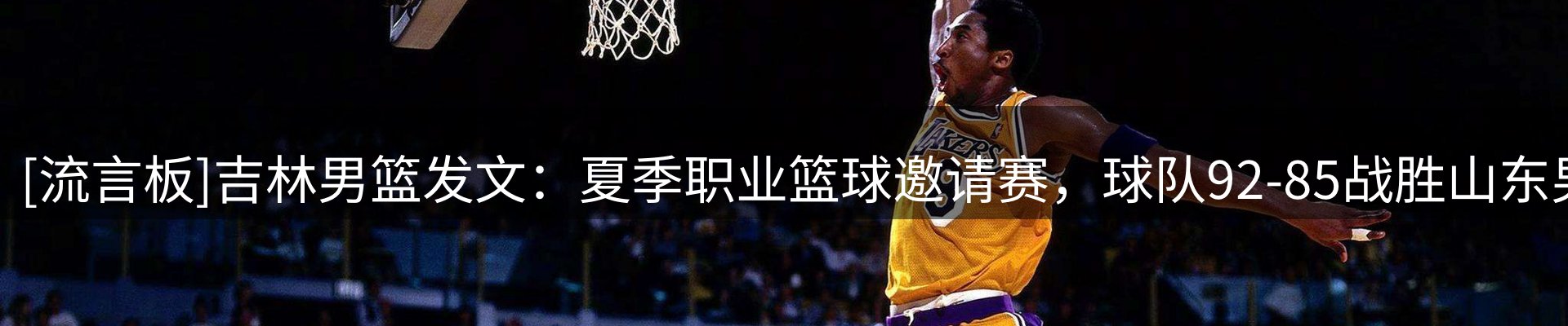 网站资讯